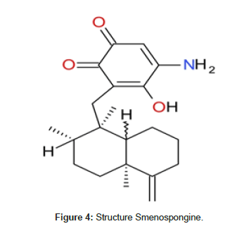 natural-products-chemistry-Smenospongine