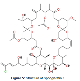 natural-products-chemistry-Structure-Spongistatin