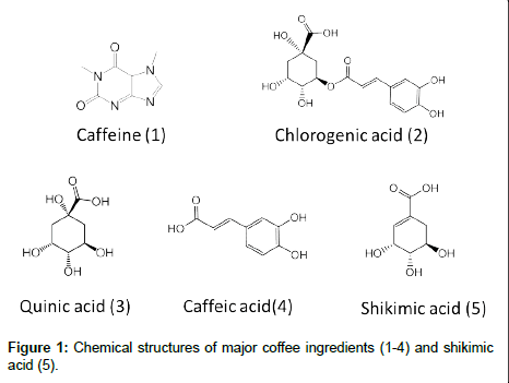 natural-products-chemistry-major-coffee-ingredients