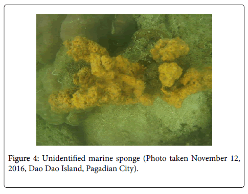 natural-products-chemistry-marine-sponge