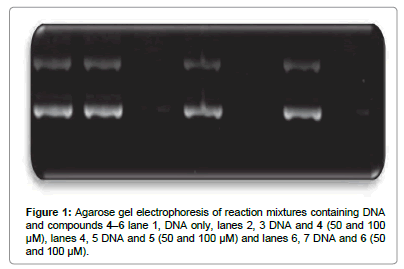 natural-products-chemistry-research-Agarose-gel-electrophoresis