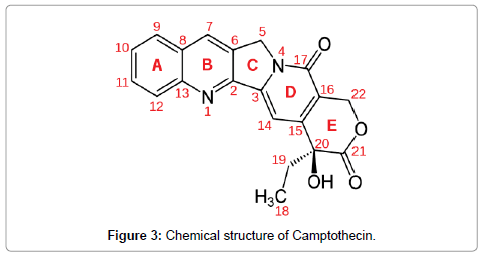 natural-products-chemistry-research-Camptothecin