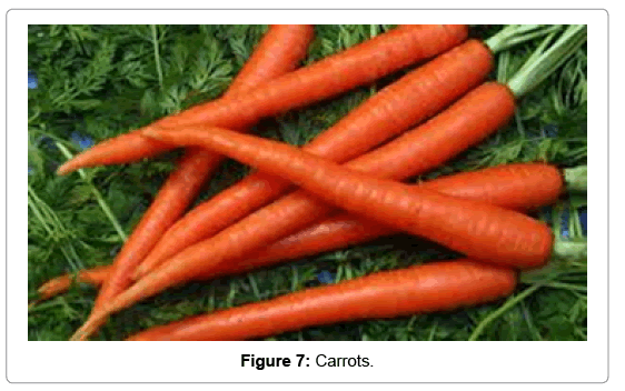 natural-products-chemistry-research-Carrots