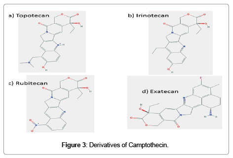 natural-products-chemistry-research-Derivatives-Camptothecin