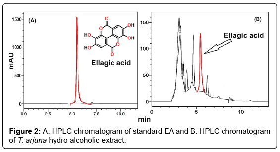 natural-products-chemistry-research-HPLC-chromatogram