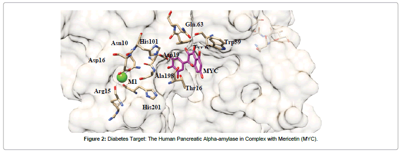 natural-products-chemistry-research-Human-Pancreatic-Alpha-amylase