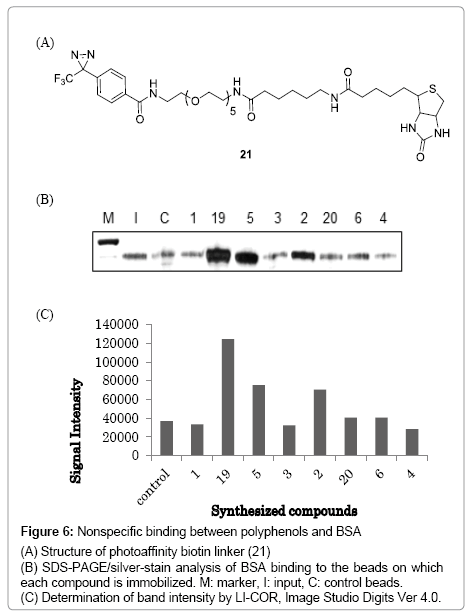 natural-products-chemistry-research-Nonspecific-binding