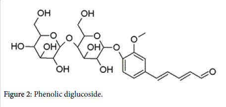 natural-products-chemistry-research-Phenolic-diglucoside
