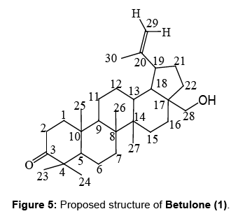 natural-products-chemistry-research-Proposed-structure-Betulone