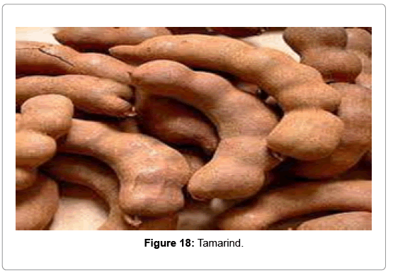 natural-products-chemistry-research-Tamarind