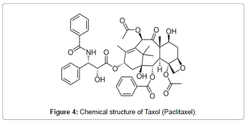 natural-products-chemistry-research-Taxol