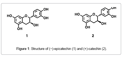 natural-products-chemistry-research-epicatechin-catechin