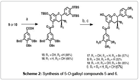 natural-products-chemistry-research-galloyl-compounds