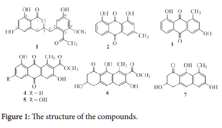 natural-products-chemistry-research-structure-compounds