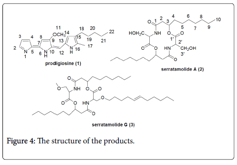 natural-products-chemistry-structure